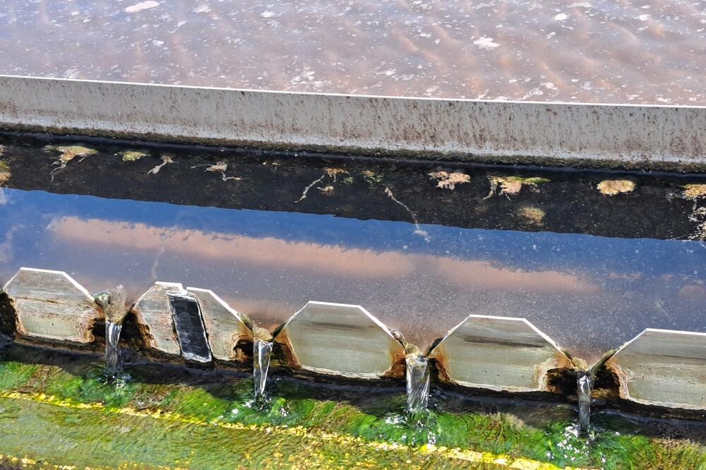 Mulj u bazenu došao do vrha, Foto: Vuk Lajović