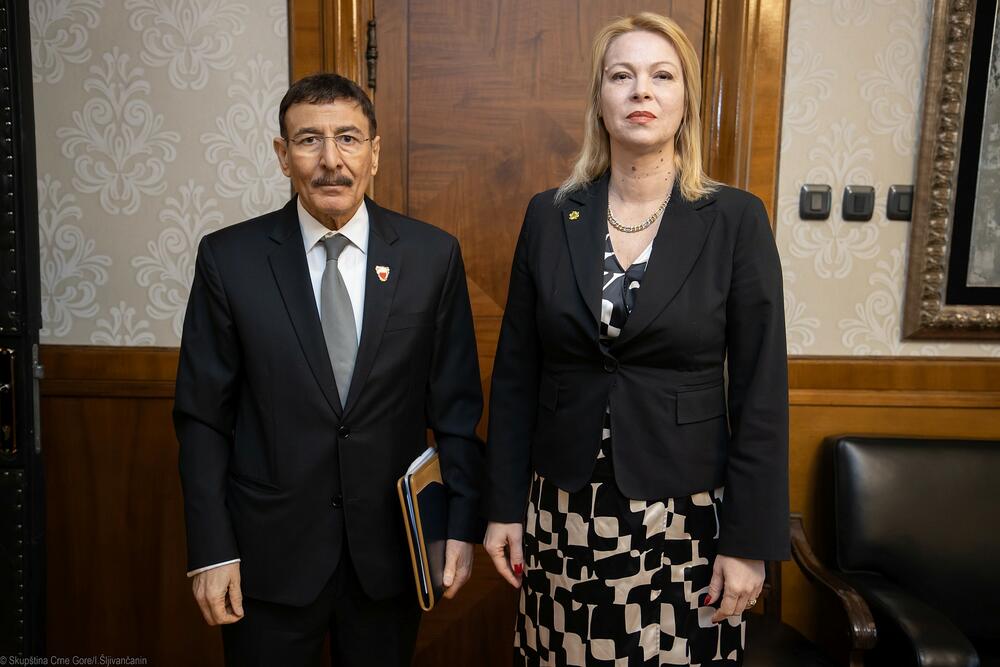 <p>Ona je ukazala na aktuelne projekte, dodaje se u saopštenju, u oblasti turističke infrastukture i energetike, što stvara prostor za eventualna angažovanja bahreinskih kompanija, posebno u vezi sa izgradnjom prioritetne dionice Mateševo-Andrijevica i Jadransko-jonskog autoputa duž crnogorskog primorja</p>