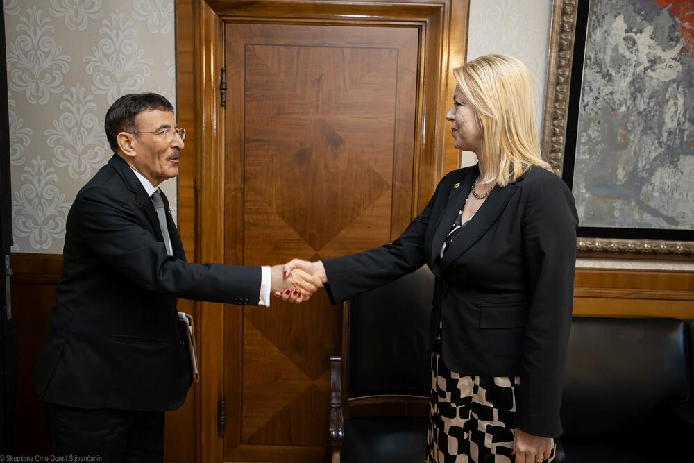 <p>Ona je ukazala na aktuelne projekte, dodaje se u saopštenju, u oblasti turističke infrastukture i energetike, što stvara prostor za eventualna angažovanja bahreinskih kompanija, posebno u vezi sa izgradnjom prioritetne dionice Mateševo-Andrijevica i Jadransko-jonskog autoputa duž crnogorskog primorja</p>