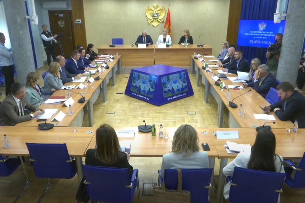 Sa sjednice, Foto: Youtube/Skupština