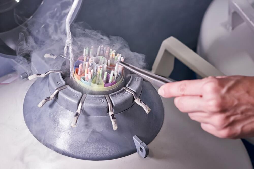 Zamrznuti uzorci u banci sperme, Foto: Getty Images