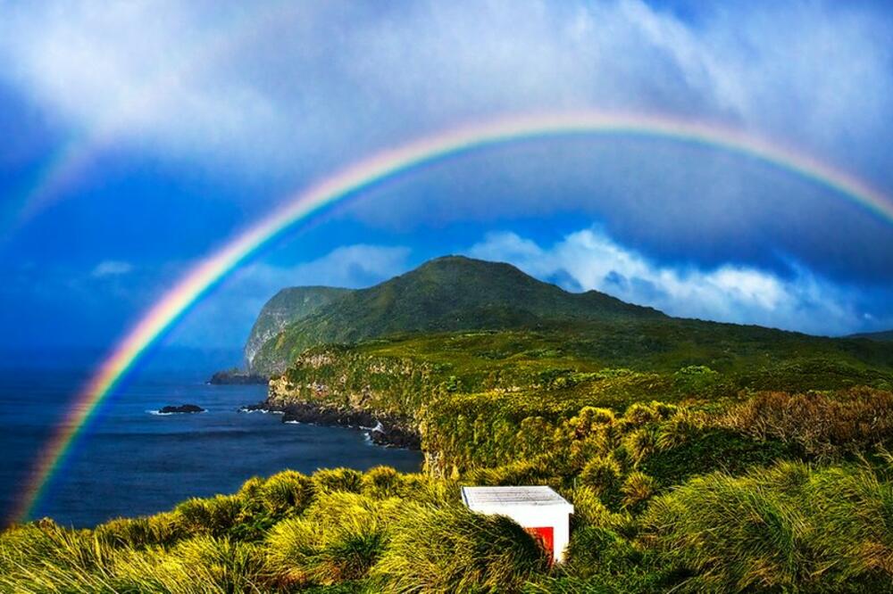 Detalj sa ostrva, Foto: Getty Images
