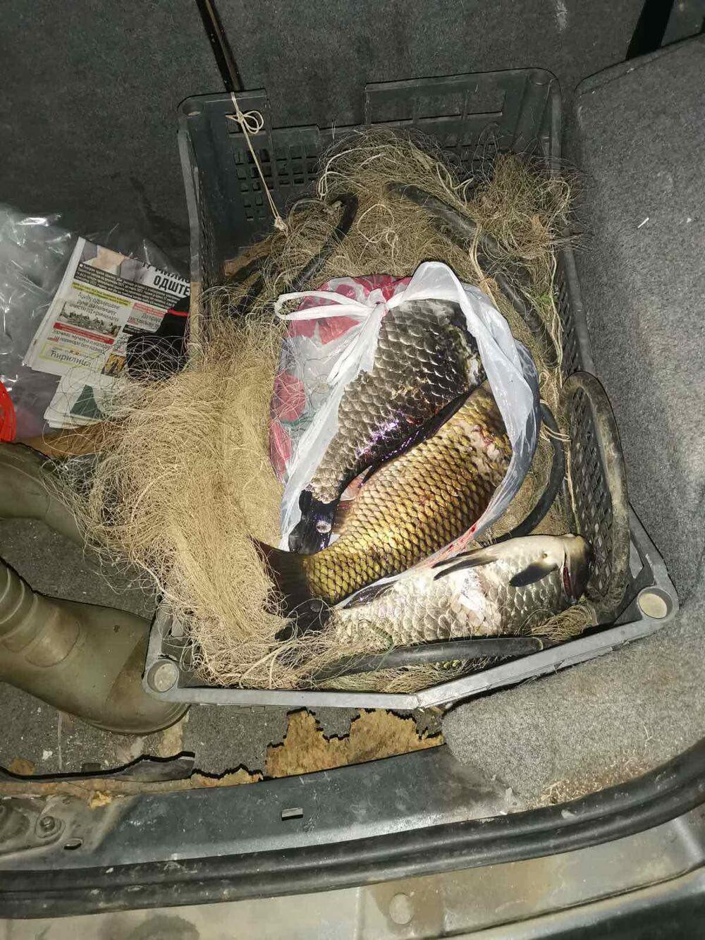 <p>"Vijestima" je rečeno da su dvojica krivolovaca ribu lovila ostima, a dvojica agregatom</p>