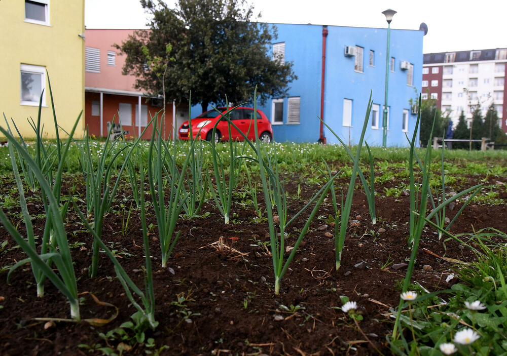 <p>Centar za djecu i mlade u Podgorici, ustanova je koja, prije svega, pruža uslugu smještaja maloljetnicima koji su u sukobu sa zakonom. U utorak, kad je ustanovu posjetila ekipa "Vijesti", na rezidencijalnom smještaju imali su 14, i devet korisnika na dnevnom boravku. Dnevni boravak namijenjen je za djecu sa poremećajem u ponašanju</p>