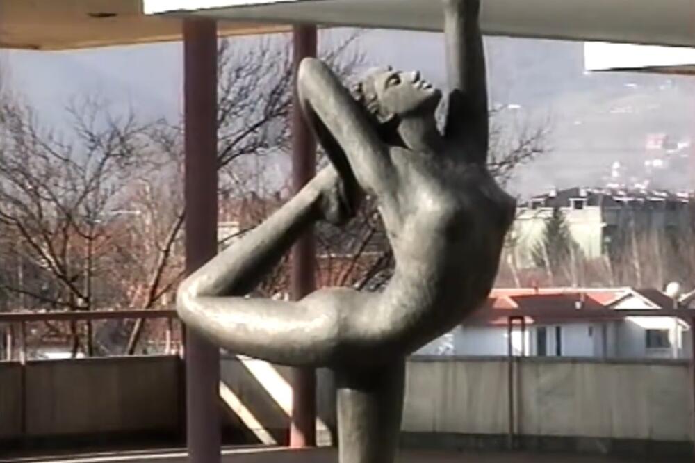 Foto: Screenshot/Slađan Fatić