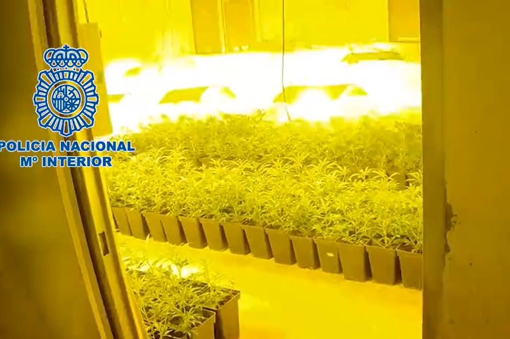 Foto: Twitter/Policía Nacional