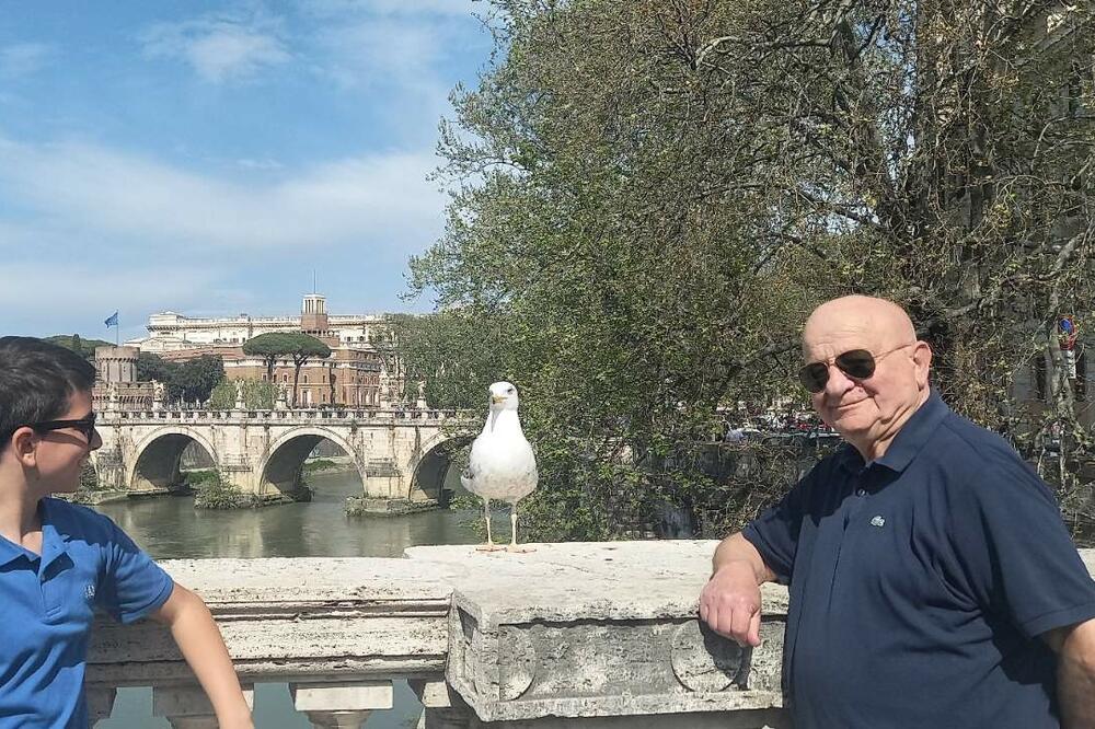 A između njih kočoperni galeb rimski..., Foto: Privatna arhiva