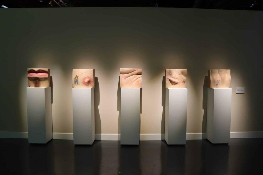 Foto: museemaillol.com