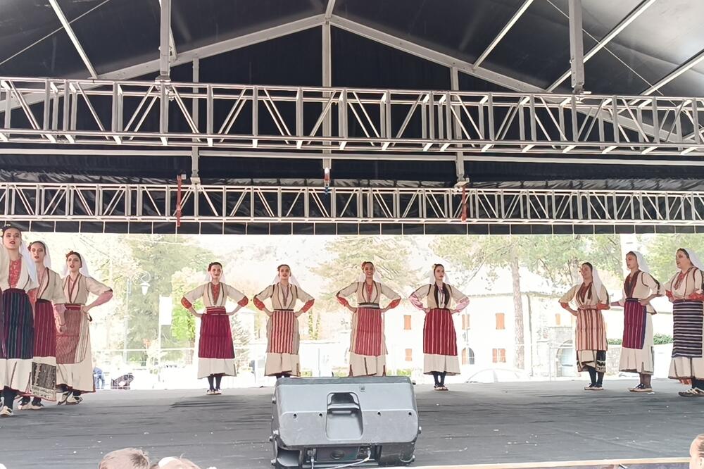 KUD Njegoš na Svjetskom danu plesa, Foto: Privatna arhiva