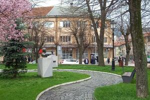 Pokret za Pljevlja: Vlada da proglasi 27. oktobar za Dan opštine...