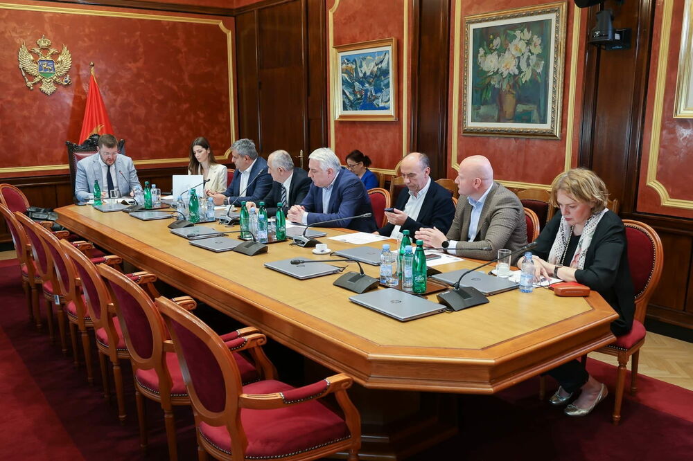 Odbor za politički sistem, pravoduđe i upravu, Foto: Skupština Crne Gore