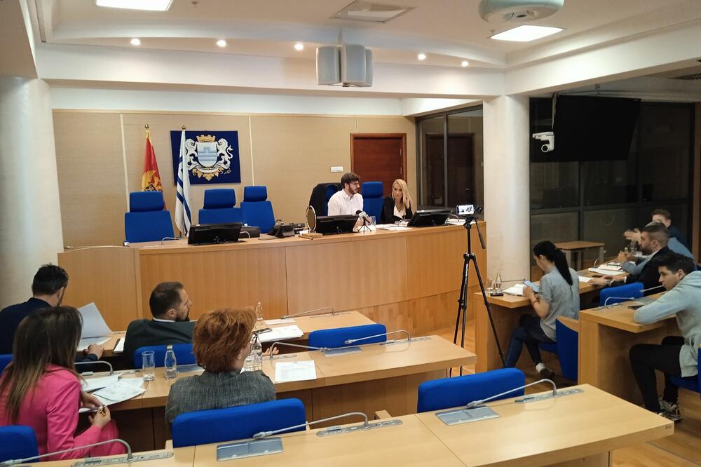 Sa sjednice Odbora, Foto: Alen Hadžović