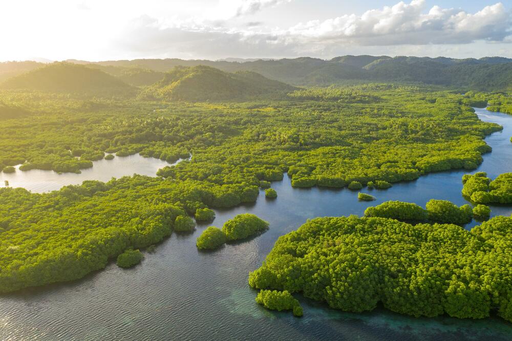 Amazonija (Ilustracija), Foto: Shutterstock