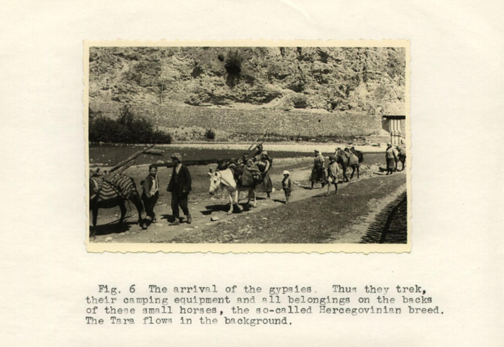 <p>Prve detalje iz života “kolašinskih Roma, kamerom je “uhvatio”, ranih 30-ih godina prošlog vijeka Milman Peri, profesor klasike na Univerzitetu Harvard</p>