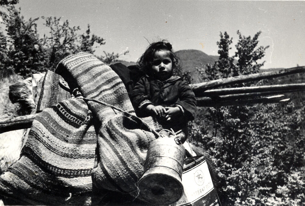 <p>Prve detalje iz života “kolašinskih Roma, kamerom je “uhvatio”, ranih 30-ih godina prošlog vijeka Milman Peri, profesor klasike na Univerzitetu Harvard</p>