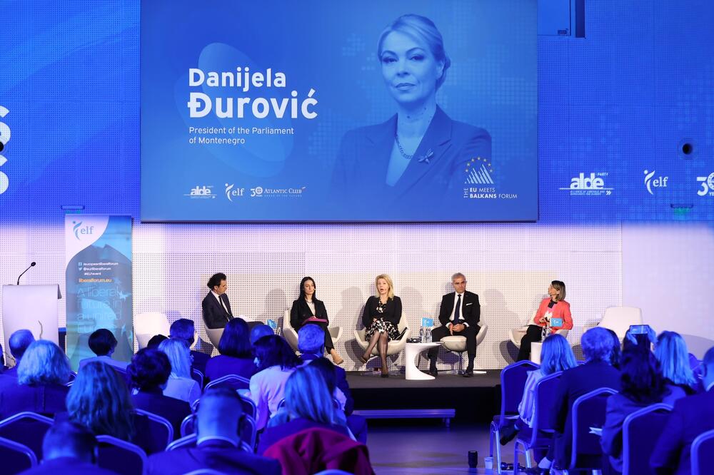 Đurović tokom foruma u Sofiji9, Foto: Skupština Crne Gore