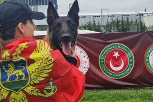 Nikolina i pas Negro petoplasirani na takmičenju u Turskoj