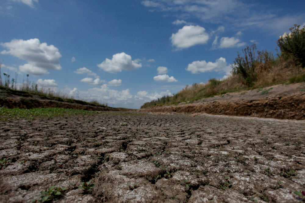 Argentina je takođe na udaru razornih suša