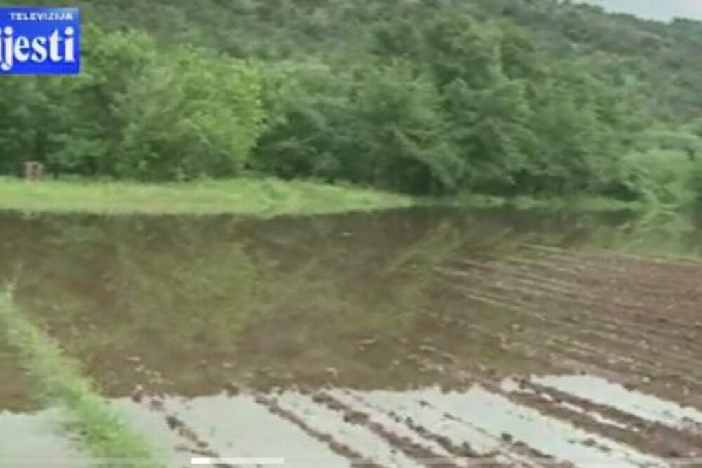 Tek posijani usjevi poplavljeni, Foto: TV Vijesti