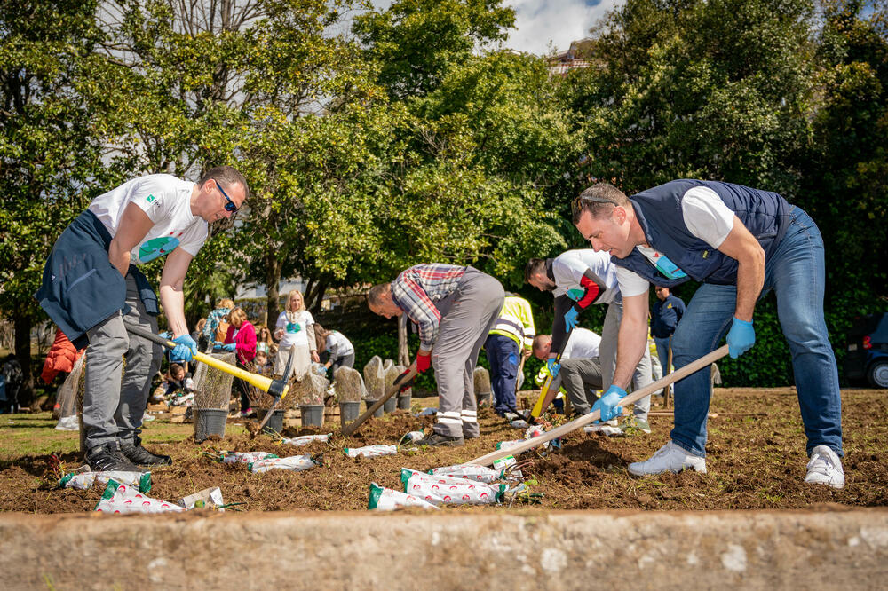 Akcija uređenja Parka Boka - Herceg Nov