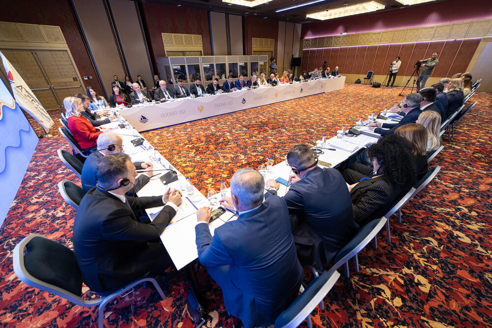 <p>Kako je saopšteno iz parlamenta, Đurović je, otvarajući plenarnu sjednicu, istakla značaj Procesa saradnje u Jugoistočnoj Evropi u kontekstu jačanje stabilnosti i sigurnosti regiona, kao i unapređenja sveopšteg razvoja</p>