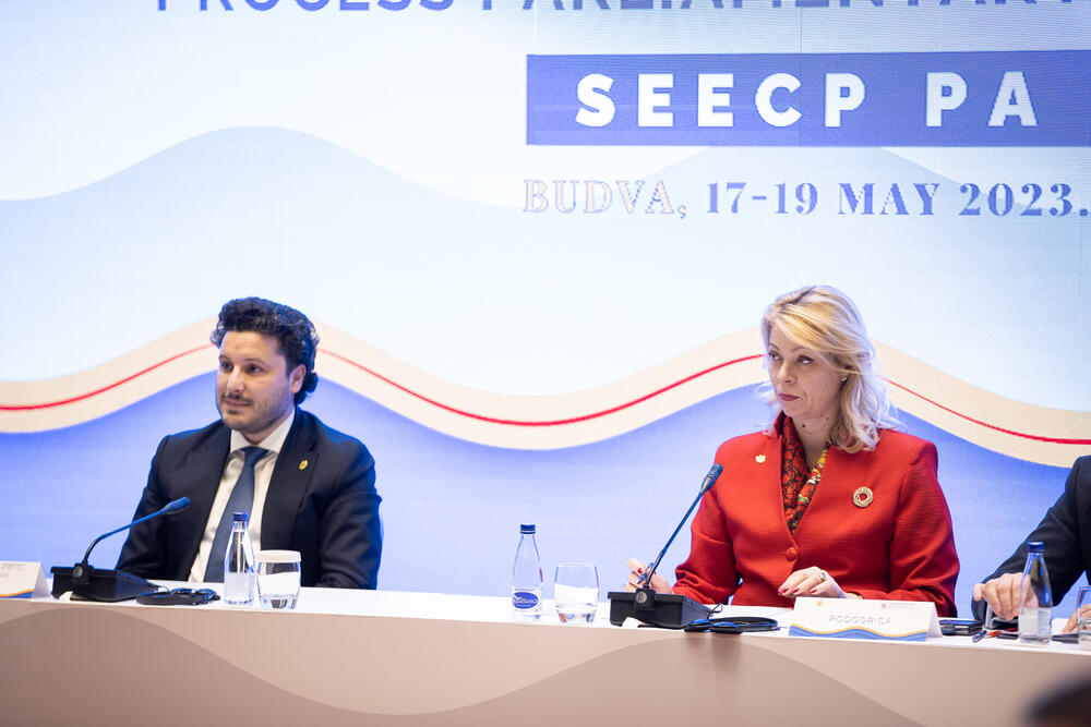 <p>Kako je saopšteno iz parlamenta, Đurović je, otvarajući plenarnu sjednicu, istakla značaj Procesa saradnje u Jugoistočnoj Evropi u kontekstu jačanje stabilnosti i sigurnosti regiona, kao i unapređenja sveopšteg razvoja</p>