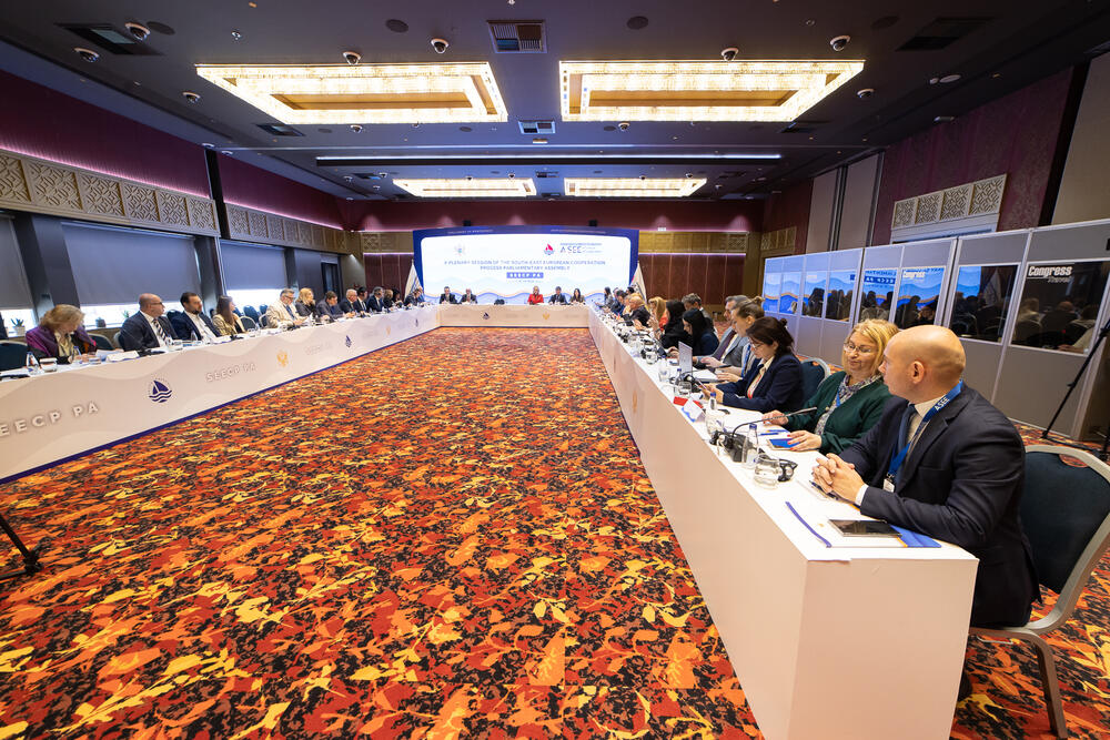 <p>Kako je saopšteno iz parlamenta, Đurović je, otvarajući plenarnu sjednicu, istakla značaj Procesa saradnje u Jugoistočnoj Evropi u kontekstu jačanje stabilnosti i sigurnosti regiona, kao i unapređenja sveopšteg razvoja</p>