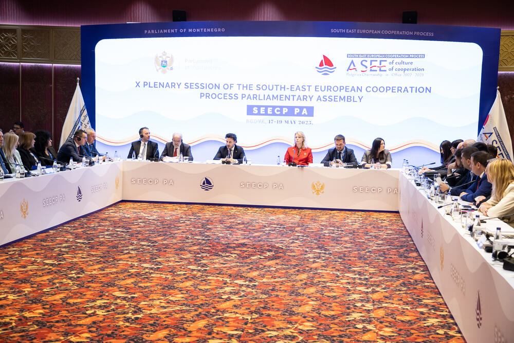 <p>Kako je saopšteno iz parlamenta, Đurović je, otvarajući plenarnu sjednicu, istakla značaj Procesa saradnje u Jugoistočnoj Evropi u kontekstu jačanje stabilnosti i sigurnosti regiona, kao i unapređenja sveopšteg razvoja</p>