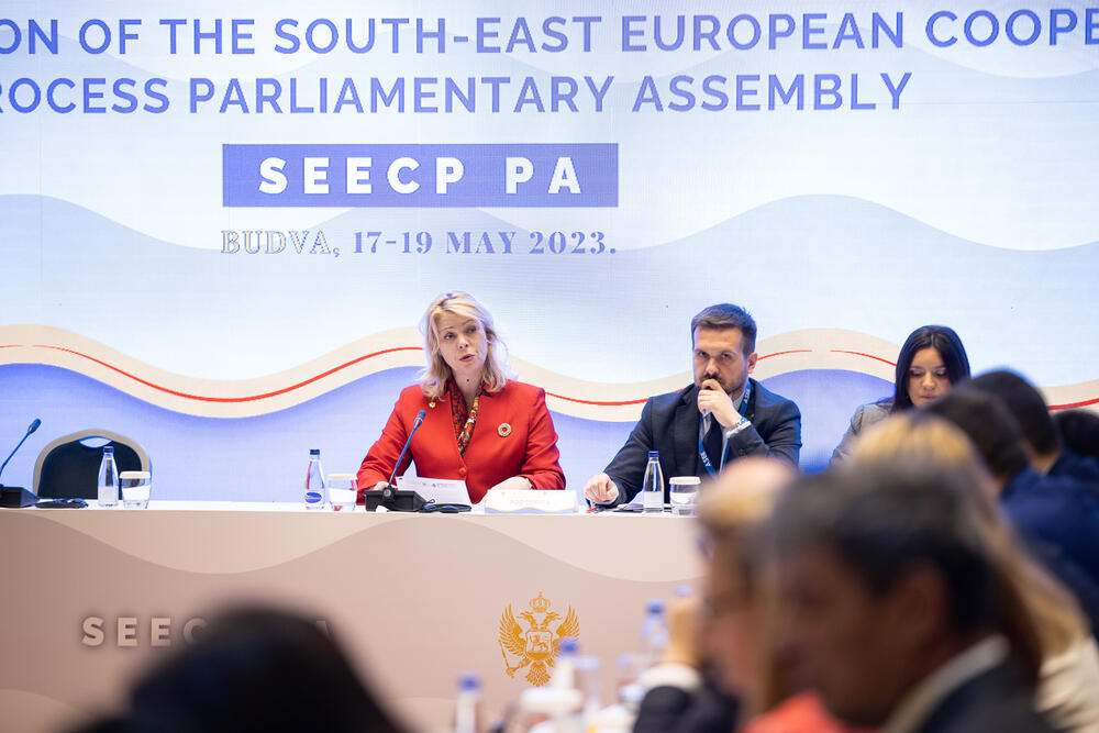 <p>Kako je saopšteno iz parlamenta, Đurović je, otvarajući plenarnu sjednicu, istakla značaj Procesa saradnje u Jugoistočnoj Evropi u kontekstu jačanje stabilnosti i sigurnosti regiona, kao i unapređenja sveopšteg razvoja</p>