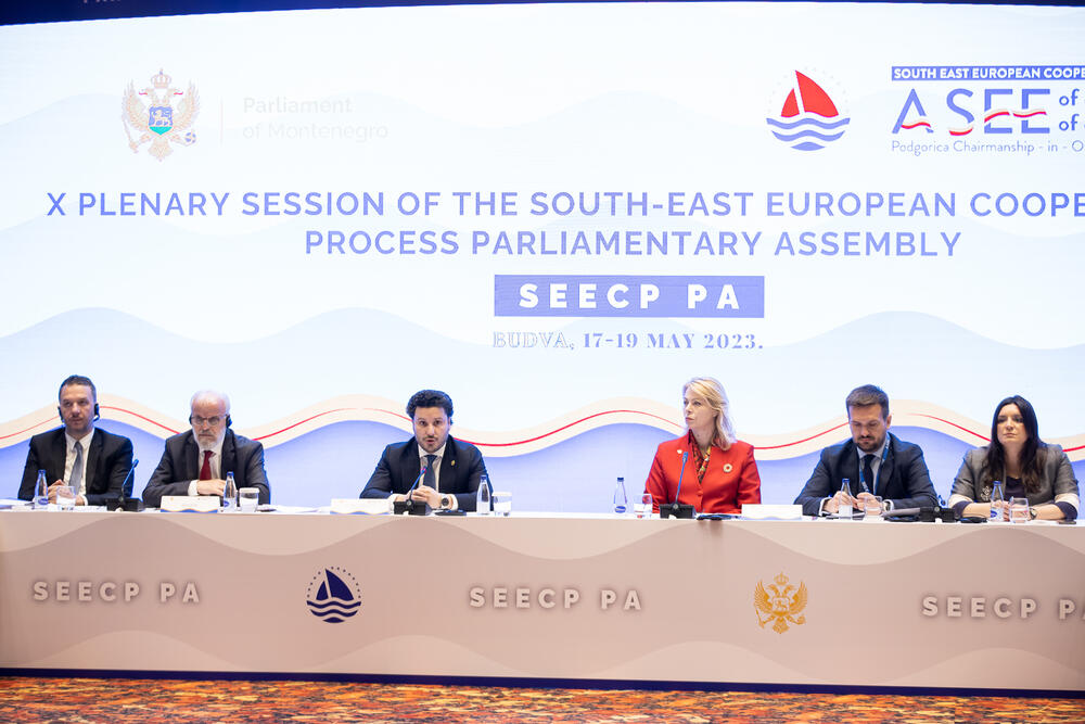 <p>Kako je saopšteno iz parlamenta, Đurović je, otvarajući plenarnu sjednicu, istakla značaj Procesa saradnje u Jugoistočnoj Evropi u kontekstu jačanje stabilnosti i sigurnosti regiona, kao i unapređenja sveopšteg razvoja</p>