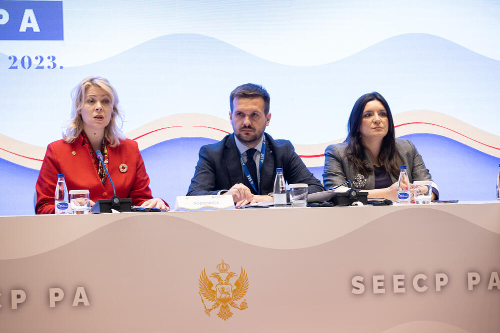 <p>Kako je saopšteno iz parlamenta, Đurović je, otvarajući plenarnu sjednicu, istakla značaj Procesa saradnje u Jugoistočnoj Evropi u kontekstu jačanje stabilnosti i sigurnosti regiona, kao i unapređenja sveopšteg razvoja</p>