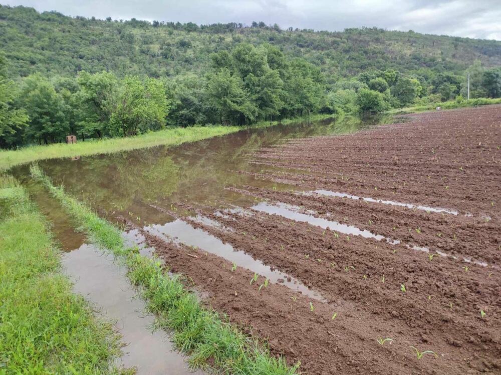 <p>Umjesto da Bjelopavlićka ravnica hrani Crnu Goru, njive su poplavljene, kako tvrde mještani, zbog rada HE “Perućica”. Poplave su posebno učestale ugradnjom trećeg cjevovoda, a niko ne želi da pomogne</p>