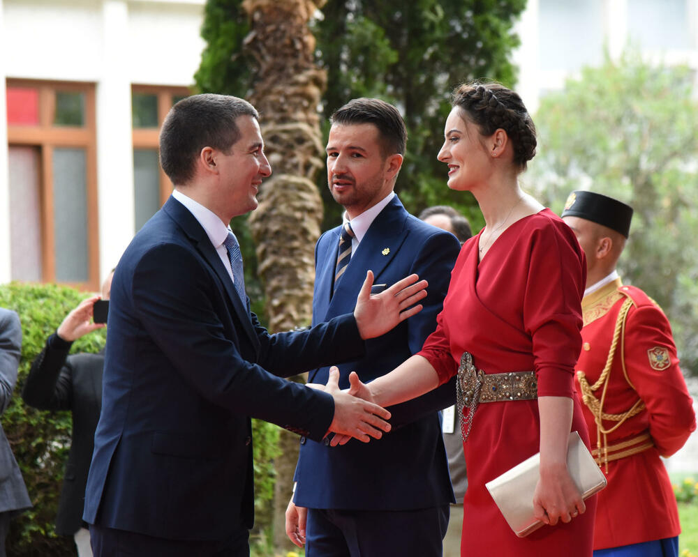 <p>Predsjednik Jakov Milatović sa suprugom Milenom večeras je u Vili Gorica priredio svečani prijem, kojem je prisustvovalo oko 700 zvanica. Pogledajte fotografije koje je zabilježio foto reporter "Vijesti" Luka Zeković.</p>