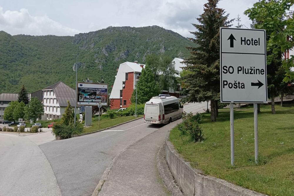 Plužine, ilustracija, Foto: Dušan Cicmil