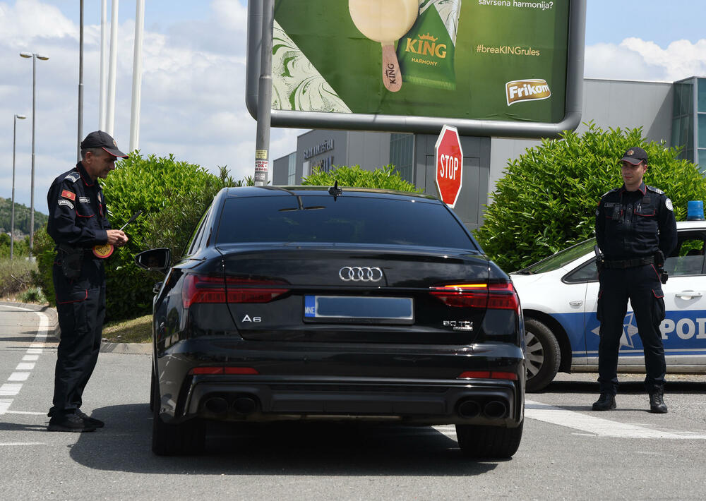 Vladan Radović, Drago Radović