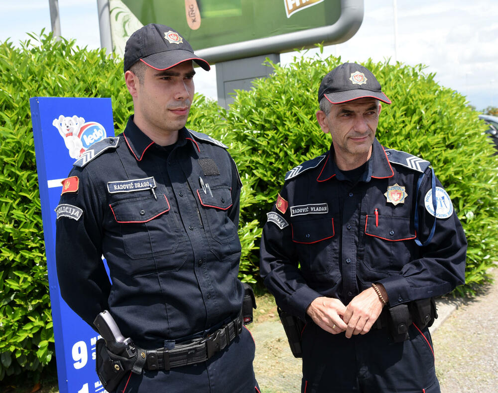 Vladan Radović, Drago Radović