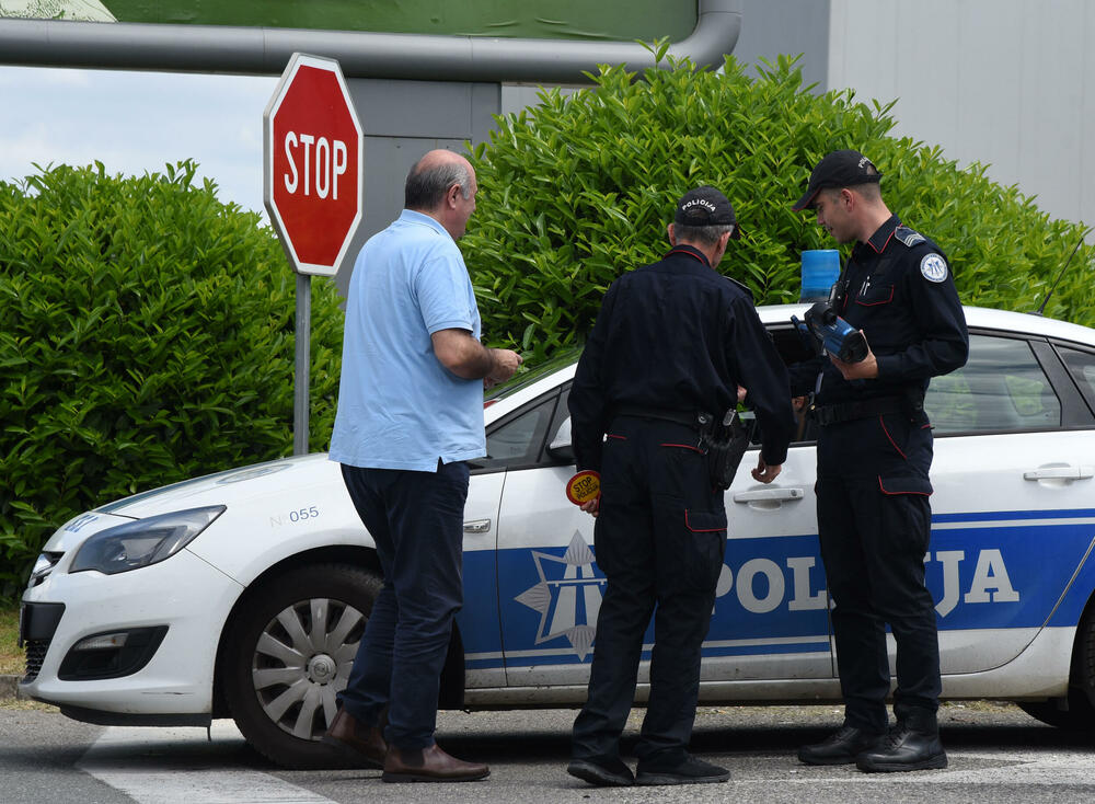 Vladan Radović, Drago Radović