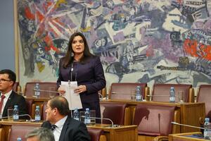 Paunović: Jaka pravna država ključ je u borbi protiv organizovanog...