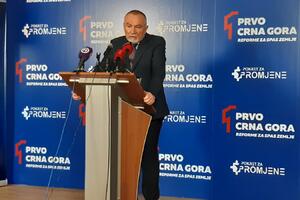 Radulović predstavio ekonomski program PzP-a: Nema sektorske...