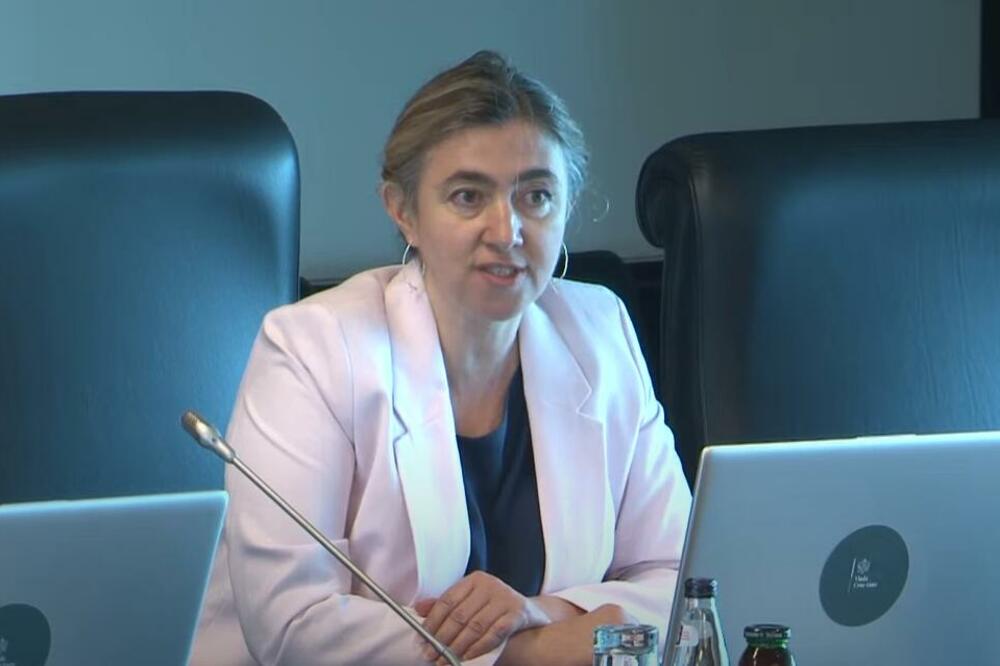 Šćepanović, Foto: Screenshot/Youtube/Vlada Crne Gore