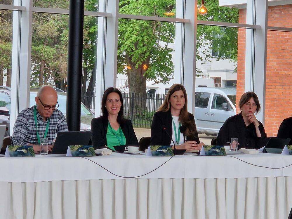 Talin, Nacionalna turistička organizacija