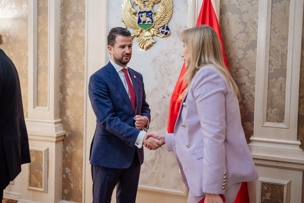 <p>Sastanku nisu prisustvovali nosilac izborne liste koalicije "Za budućnost Crne Gore" (ZBCG) i lider Demokratske narodne partije (DNP) Milan Knežević, kao ni predvodnik liste Socijaldemokratske partije (SDP) Nikola Đurašković i Narodnog pokreta "Pravda za sve" Vladimir Leposavić.</p>