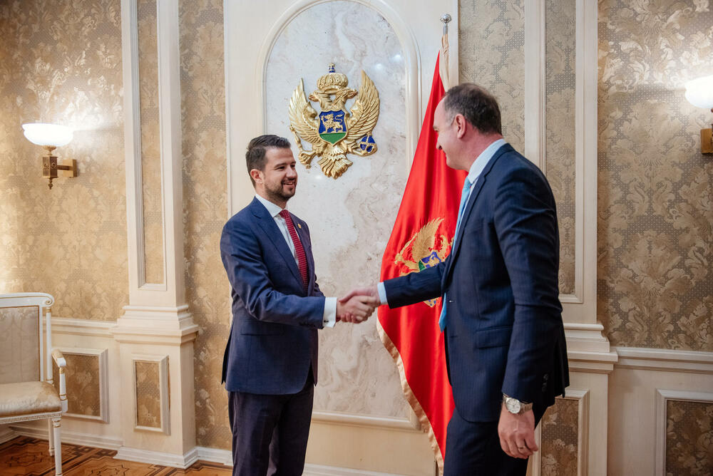 <p>Sastanku nisu prisustvovali nosilac izborne liste koalicije "Za budućnost Crne Gore" (ZBCG) i lider Demokratske narodne partije (DNP) Milan Knežević, kao ni predvodnik liste Socijaldemokratske partije (SDP) Nikola Đurašković i Narodnog pokreta "Pravda za sve" Vladimir Leposavić.</p>