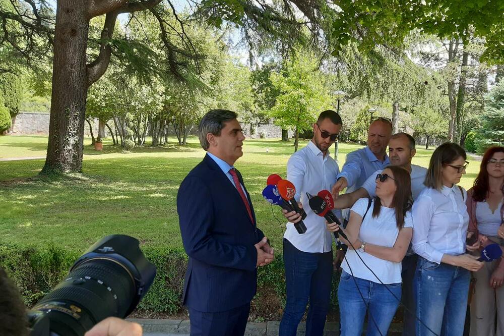 Ibrahimović, Foto: Biljana Matijašević