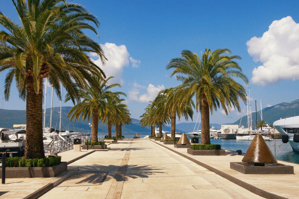 Tivat Pine, Foto: Shutterstock