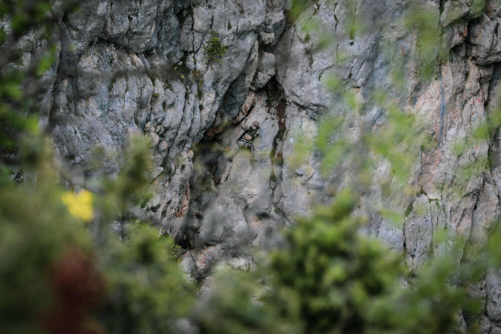 <p>On je naveo da crnogorski vojnici zajedno sa saveznicima stoje na prvoj liniji odbrane domovine, ali i zajedničkih vrijednosti i ideja</p>