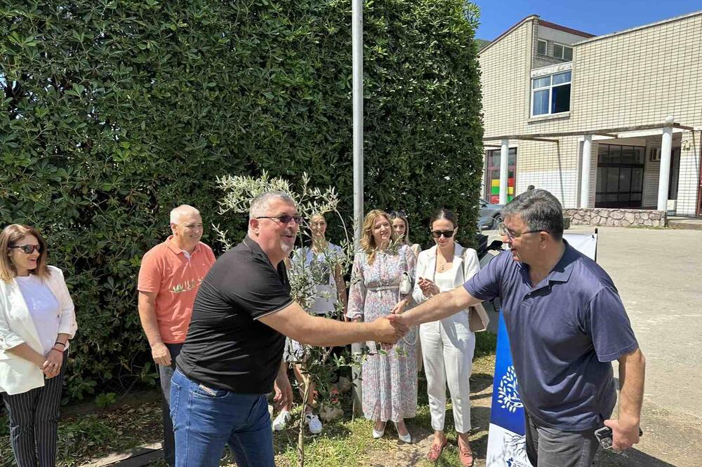 PZP u Budvi, Foto: Pokret za promjene