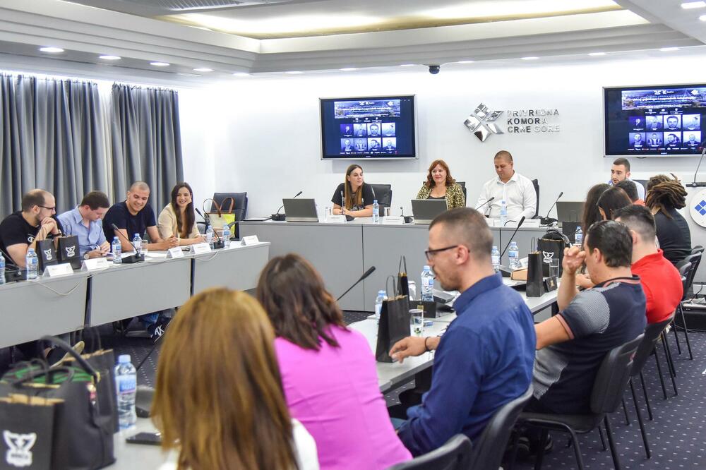 Iskoristiti potencijale gejming industrije, Foto: PKCG