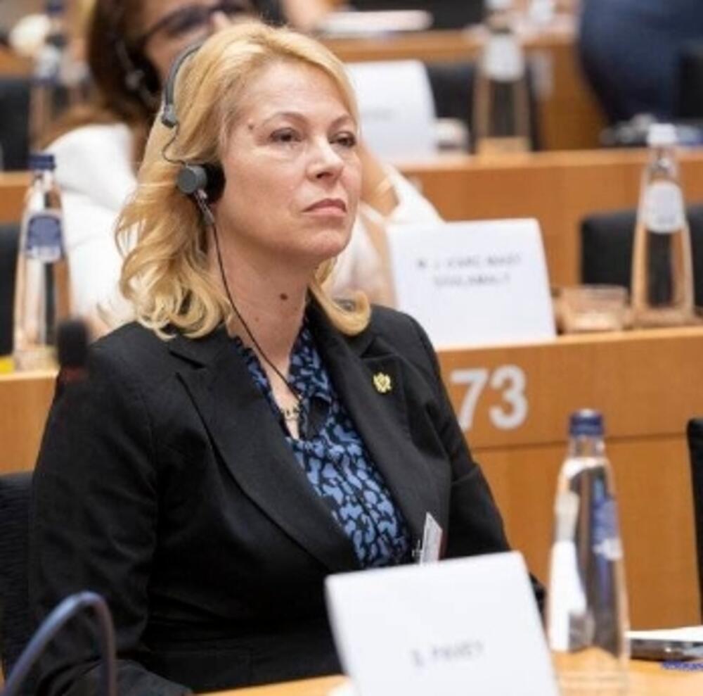 <p>Đurović je, govoreći na temu povećanja broja i uticaja žena u politici, istakla da u se Crnoj Gori, uprkos brojnim naporima koji se već decenijama ulažu u cilju stvaranja društva jednakih mogućnosti za sve, i dalje svjedoči snažnim rodno podijeljenim ulogama koje diktiraju patrijarhalni obrasci</p>