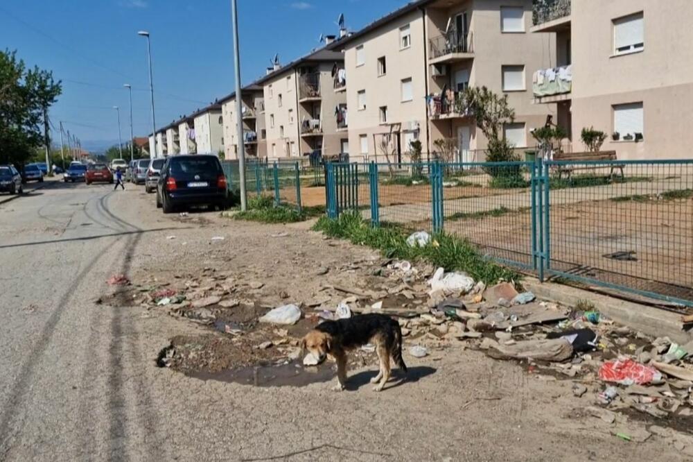 Podaci sa terena govore da je droga u naselju prisztna: Vrela ribnička, Foto: Andrea Jelić